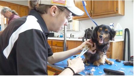 sean rice grooming a dog