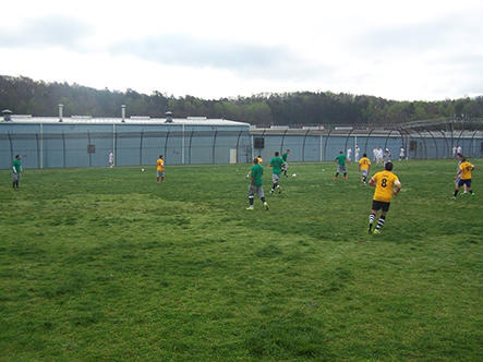 people playing soccer